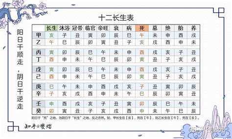 八字十二長生|十二長生:描述,八字解讀,